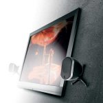 Focal Bird Promotie