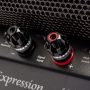 Expression-controls-details-3