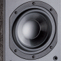 Nota-Cis-X-Woofer-600-600