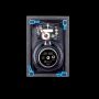 Paradigm CI Home H55-IW(5)