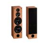 Acoustique Quality Wega 55 MKIII(2)