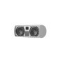Piega Ace Center Wireless(2)
