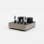 Fezz Mira Ceti Power Amplifier (mono)-Sunlight-1