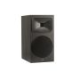 Martin Logan Motion Foundation B2 bl2