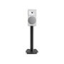 Martin Logan Motion Foundation B2 wh4