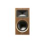 Martin Logan Motion Foundation B2-3