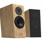 Pylon Diamond 18 Monitor MK2